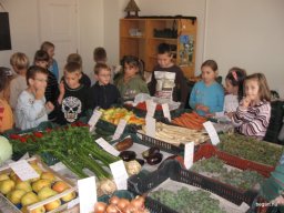 Látogatás egy zöldség-gyümölcsboltban