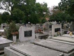 72 óra kompromisszum nélkül