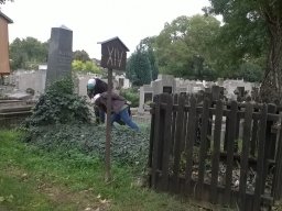 72 óra kompromisszum nélkül