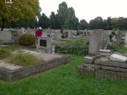 72 óra kompromisszum nélkül