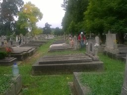 72 óra kompromisszum nélkül