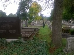 72 óra kompromisszum nélkül