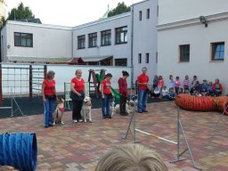 ÁLLATOK VILÁGNAPJA