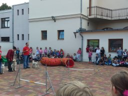 Állatok világnapja