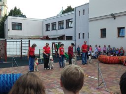 Állatok világnapja