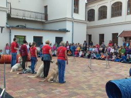 Állatok világnapja