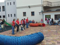 Állatok világnapja