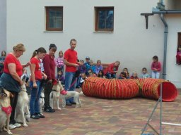 Állatok világnapja