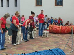 Állatok világnapja