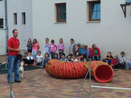 Állatok világnapja