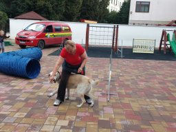 Állatok világnapja