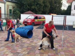 Állatok világnapja