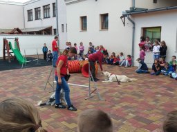 Állatok világnapja