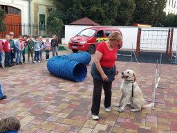 Állatok világnapja