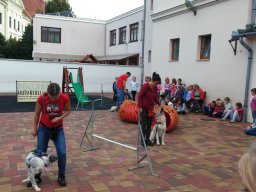 Állatok világnapja