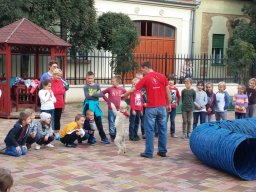 Állatok világnapja