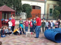 Állatok világnapja