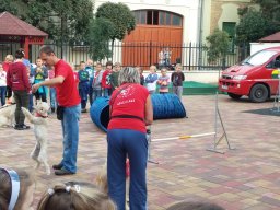 Állatok világnapja