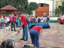 Állatok világnapja