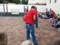 Állatok világnapja