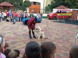 Állatok világnapja