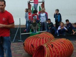 Állatok világnapja