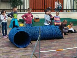 Állatok világnapja