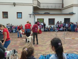 Állatok világnapja