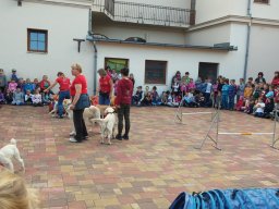 Állatok világnapja