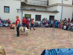 Állatok világnapja