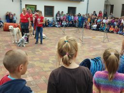 Állatok világnapja