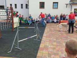 Állatok világnapja