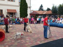 Állatok világnapja