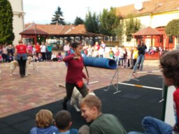 Állatok világnapja