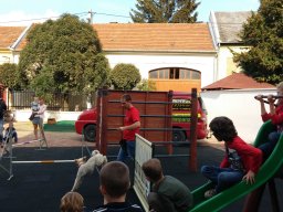 Állatok világnapja