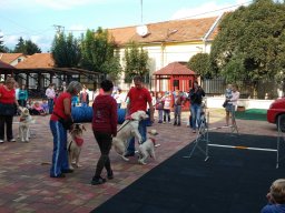 Állatok világnapja