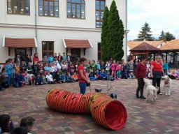 Állatok világnapja