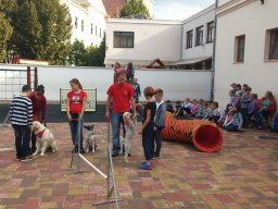 Állatok világnapja