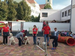 Állatok világnapja