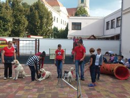 Állatok világnapja