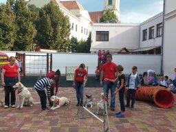 Állatok világnapja