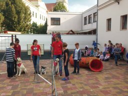 Állatok világnapja