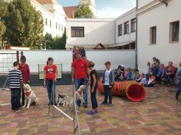 Állatok világnapja