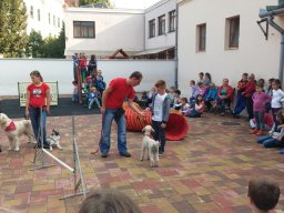 Állatok világnapja