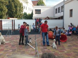 Állatok világnapja