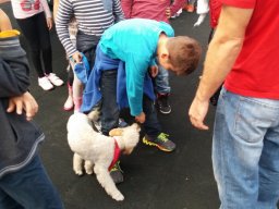 Állatok világnapja