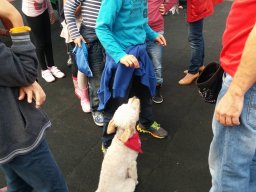 Állatok világnapja