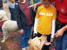 Állatok világnapja