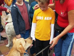 Állatok világnapja