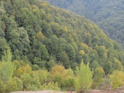 Őszi túra a BEG Barangolókkal